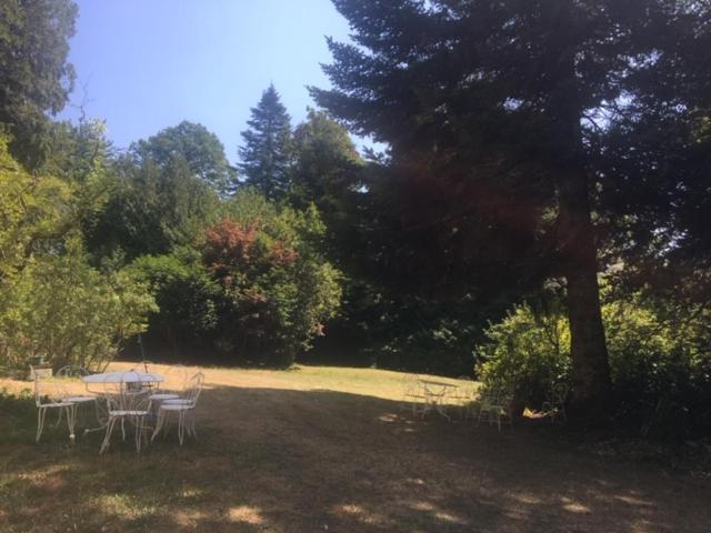 Domaine Du Lampy-Neuf Hotel Saissac Kültér fotó